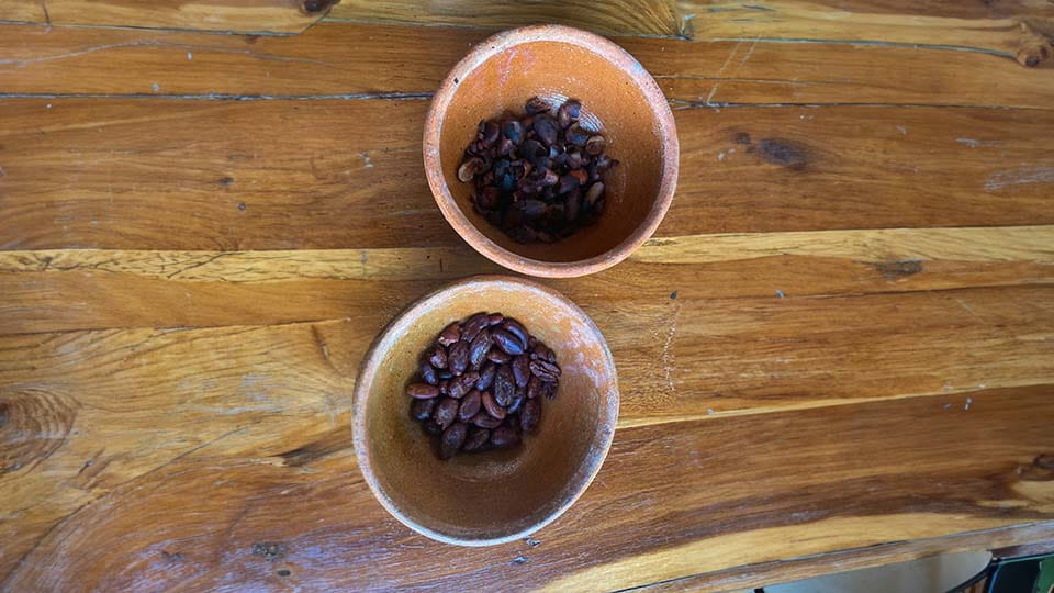 cocoa beans in a tow bowls