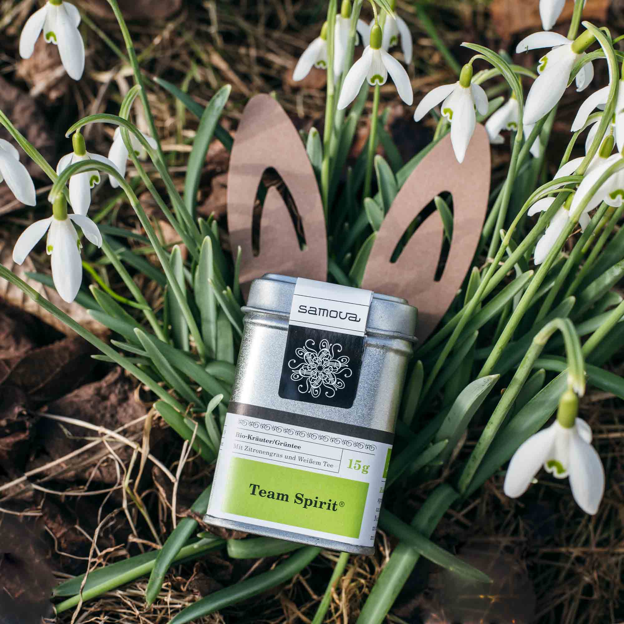 Hasenohren Geschenk-Deko