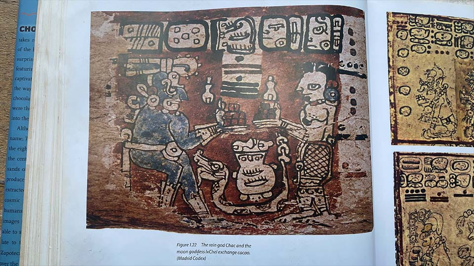 foto from a book showing a mayan painting of people drinking chocholate