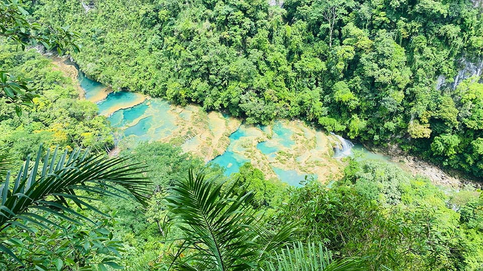view from the top on to canopy of jungleforest and clear blue water pools below