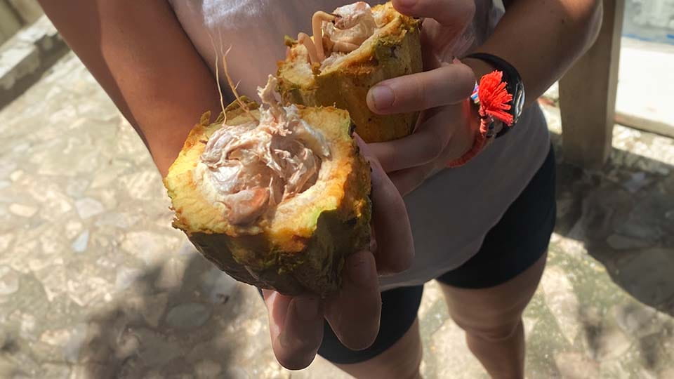 inside of the cacao fruit