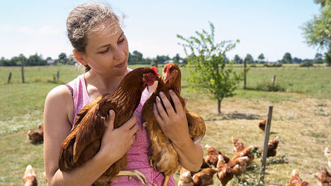 junge Frau in pinken Top mit zwei Hühnern auf dem Arm