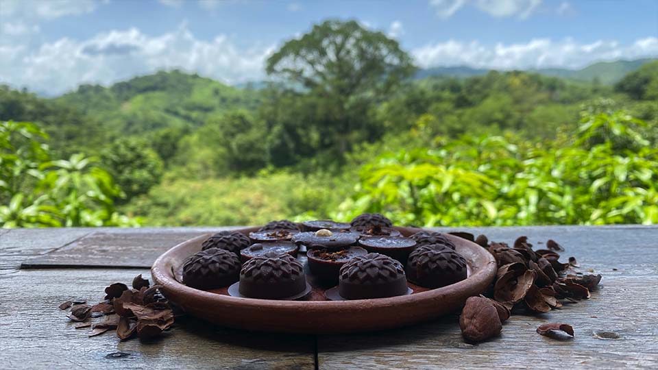 a clay plate with hand made pralines in fronts of a jungle backdrop