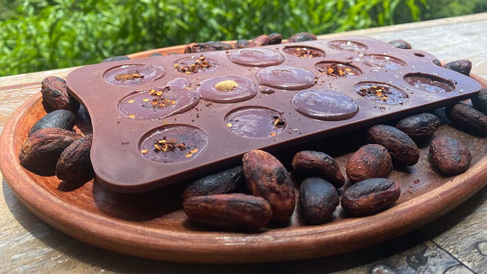 a clay plate with hand made pralines in fronts of a jungle backdrop